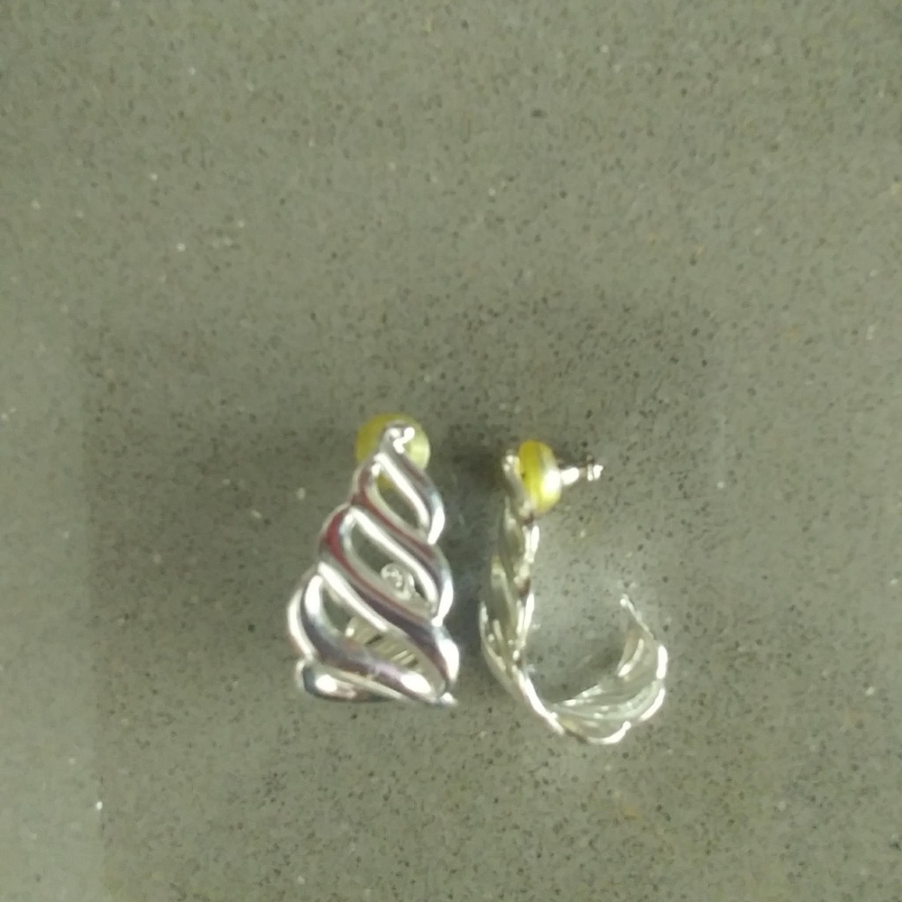 Silver Toned Earrings